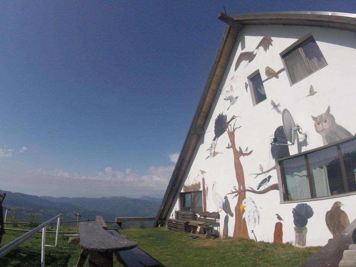 Birdshouse Parang Petrosani Exterior photo