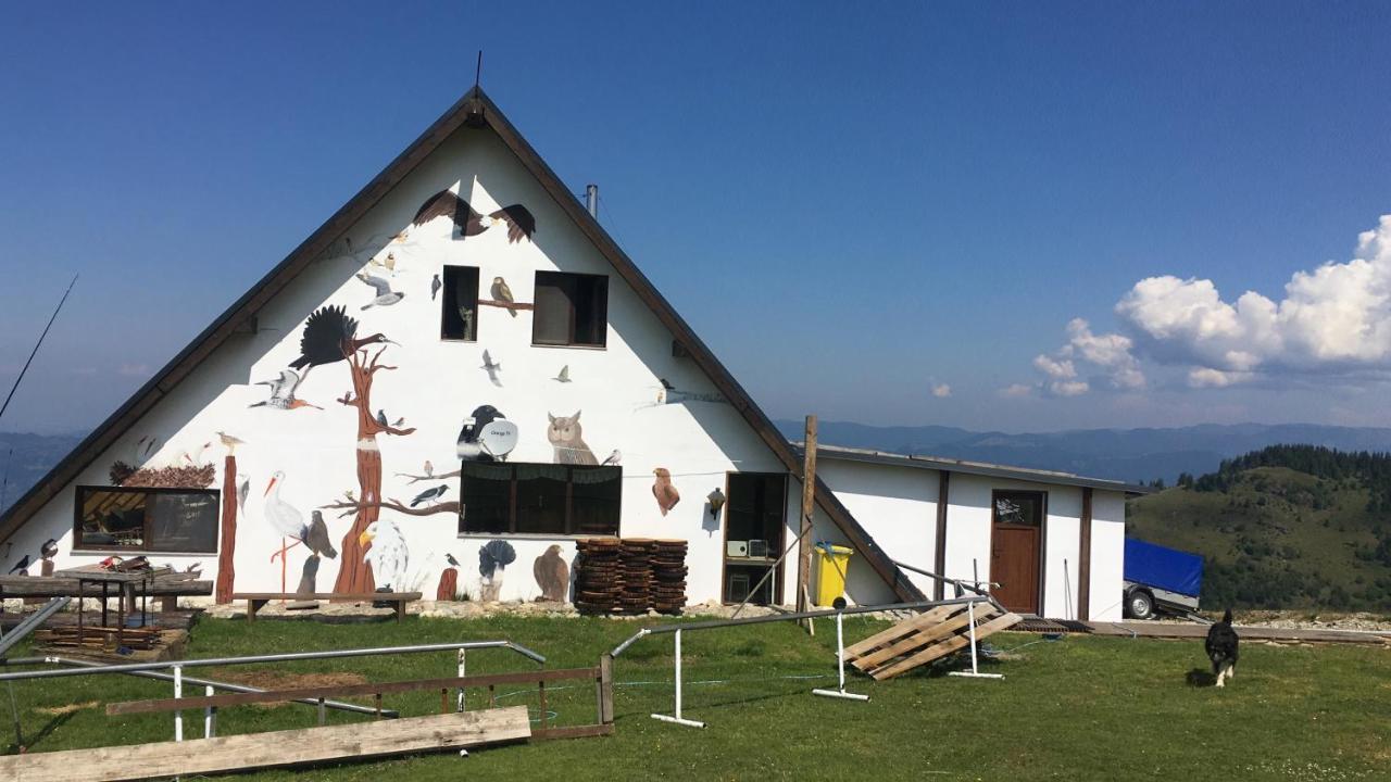 Birdshouse Parang Petrosani Exterior photo