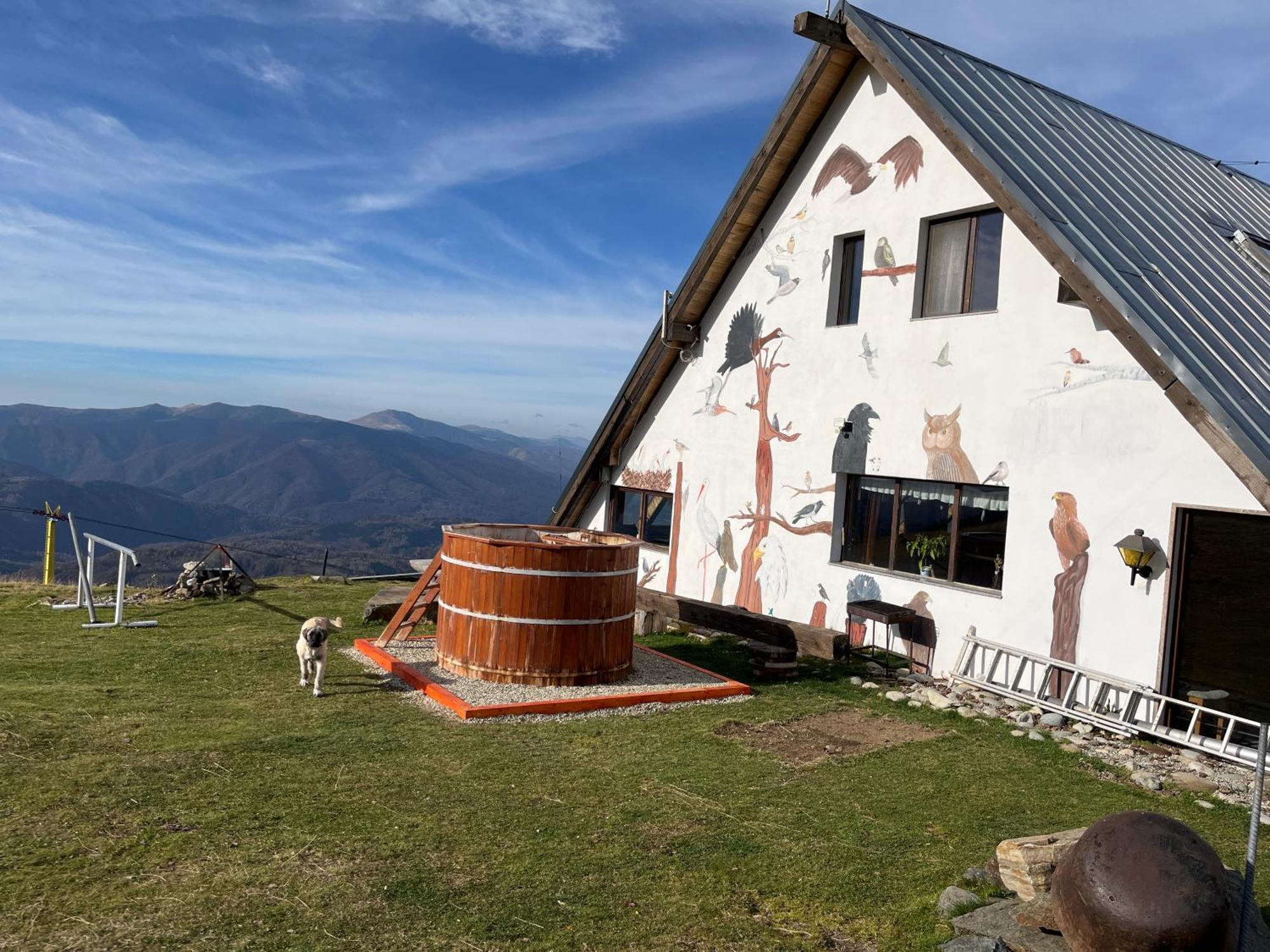 Birdshouse Parang Petrosani Exterior photo
