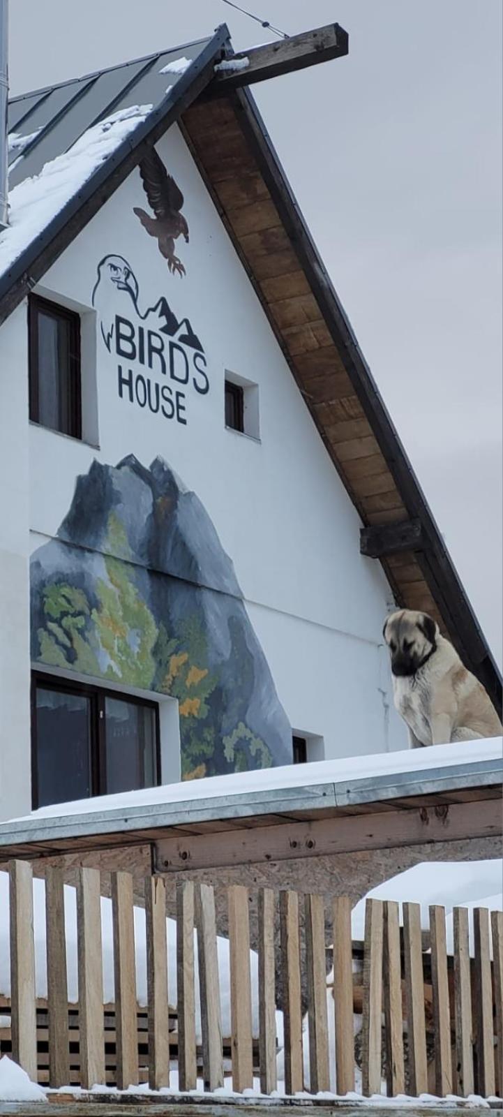 Birdshouse Parang Petrosani Exterior photo